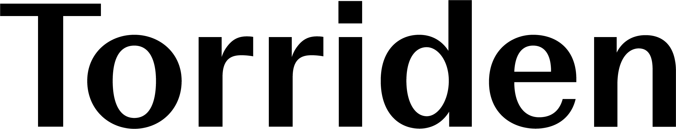 DD_Torriden_Logo.png